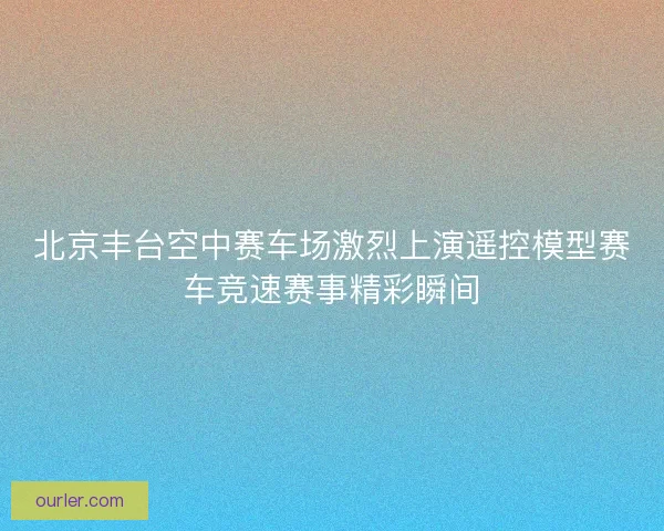 北京丰台空中赛车场激烈上演遥控模型赛车竞速赛事精彩瞬间